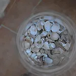 Mama * רובינייסקו סלו