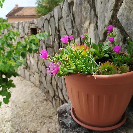 Mama Rovinjsko Selo