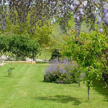 Mama * Rovinjsko Selo